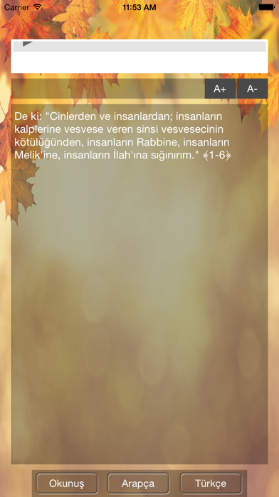 Screenshot #3 pour Nas Suresi