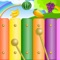 Kids Fruit Xylophone is a lovely colorful eight-note xylophone which offers kids lots of fun while learning melody