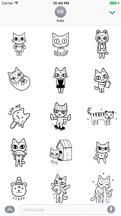 Skin Cat
