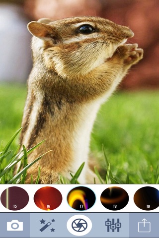 PicMagic - Best photo editor! screenshot 2