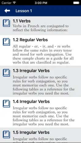 Game screenshot French Grammar - Improve your skill apk