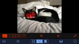 Game screenshot livelier apk