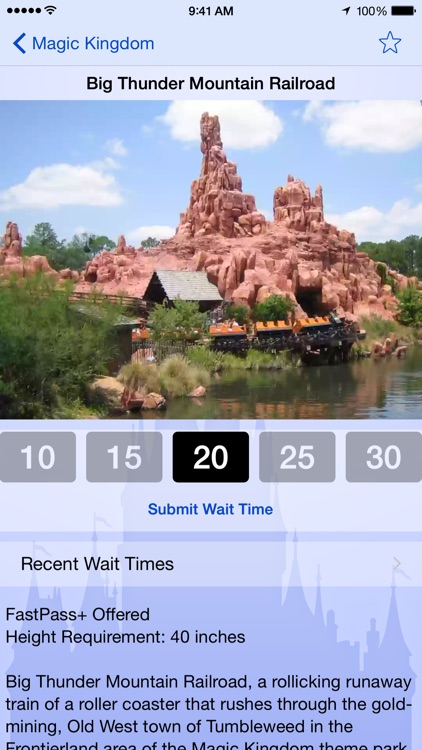 Wait Times for Disney World