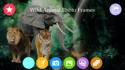 Screenshot #1 pour Wild Animal Photo Frames & Photo Editor