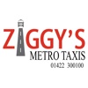 Ziggy's Metro Cars