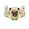 The Cute Pug Animated for iMessage