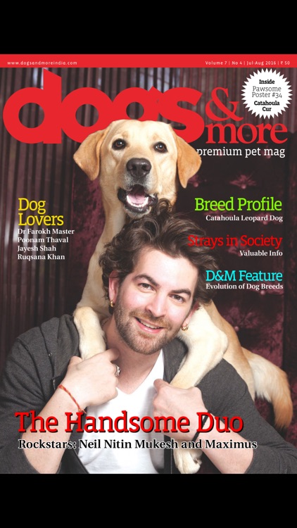 dogs & more Magazine