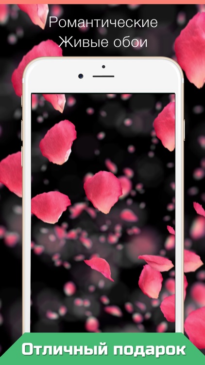 Live Wallpapers for iPhone animated wallpapers HD screenshot-3