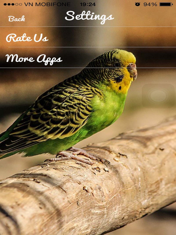 Bird Sounds -Bird relax,sleep Sounds iPad screenshot 4 - Music app