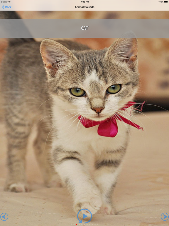 Screenshot #5 pour Images et des sons pour les tout-petits animaux