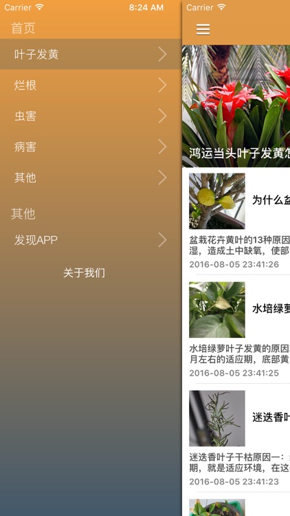 植物保姆健康管家 - 告诉你如何在家种植花卉,植物的病虫害防御战