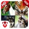 150+ Animal Sounds lite is an amazing entertainment and gaming app which will be a lot of fun especially for kids, it helps to learn about names and sounds of animals and birds