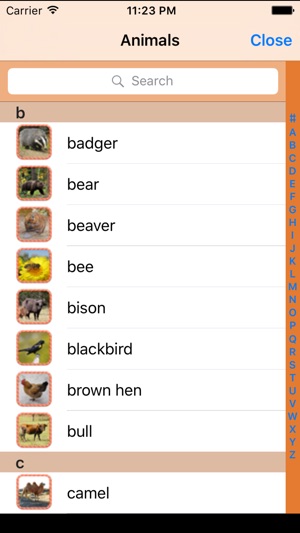 Animal Figure ABC(圖5)-速報App