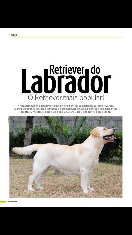 Cães & Companhia revista