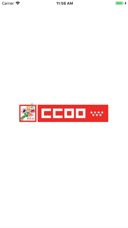 FSS CCOO Madrid