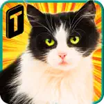 Street Cat Sim 2016 App Problems