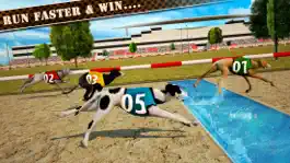 Game screenshot Dog Race & Stunts 2016 hack