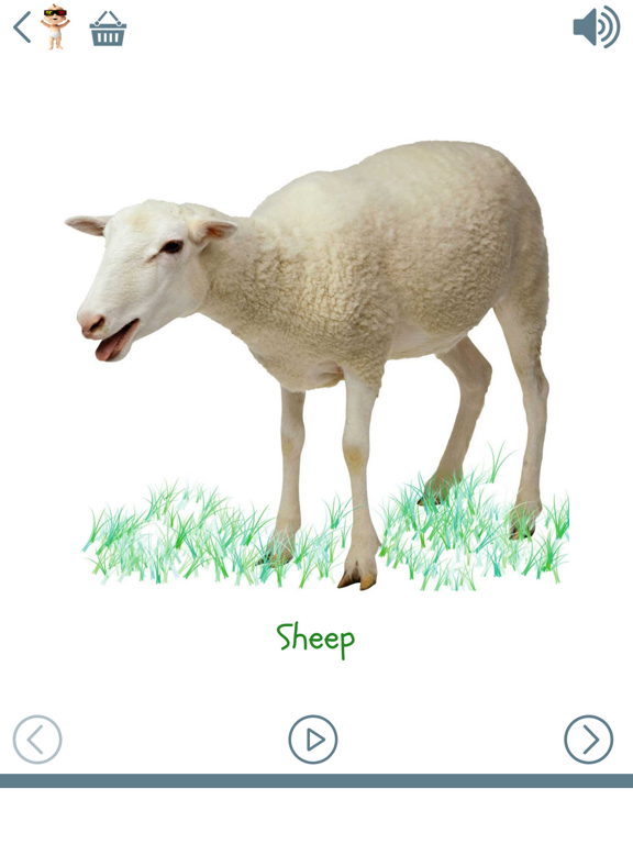 Screenshot #6 pour Baby First Words: 18+ Months