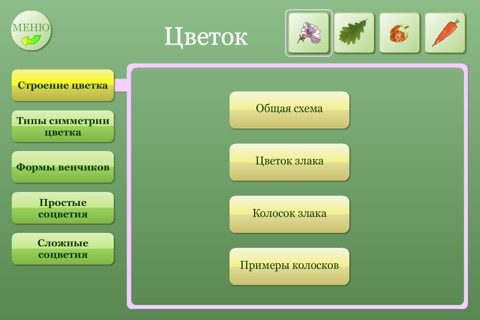 Biology Plant handbook screenshot 2