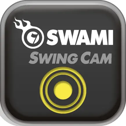 SwingCAM Читы