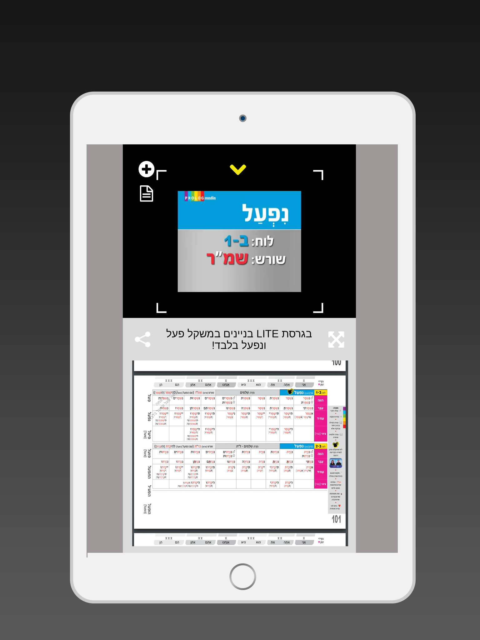 פעלים ושורשים בעברית - בספר ובווידיאו screenshot 8