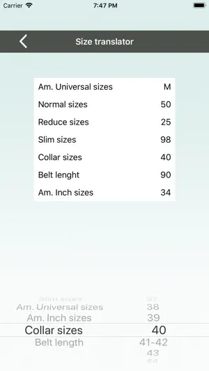 Business Style screenshot 4