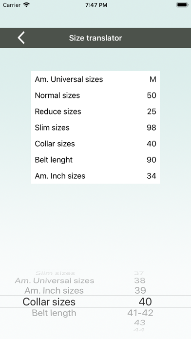 Business Style Screenshot 4 of 4