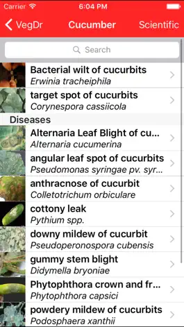 Game screenshot VegDr apk