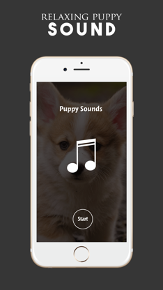 Puppy Sounds:Calming Music For Relaxation & Sleep screenshot 1