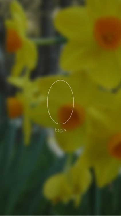 Mind Timer - A Simple Timer for Insight Meditation