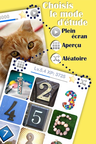 Learn French Basic Words screenshot 4