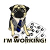 Fawn The Pug Stickers