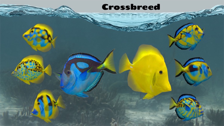 Fish Farm 2 screenshot-3