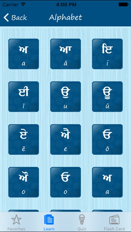Learn Punjabi Quickly Pro screenshot-4