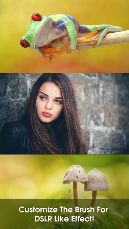 Photo Blur Effect & Editor – Super Background Array, Reflect Image-s and Moment