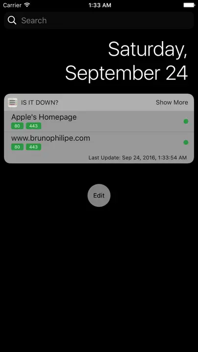 Is It Down? – Uptime Checker Widget iPhone-skjermbilde 2