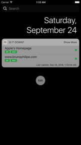 Is It Down? – Uptime Checker Widget screenshot