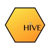 Hive India