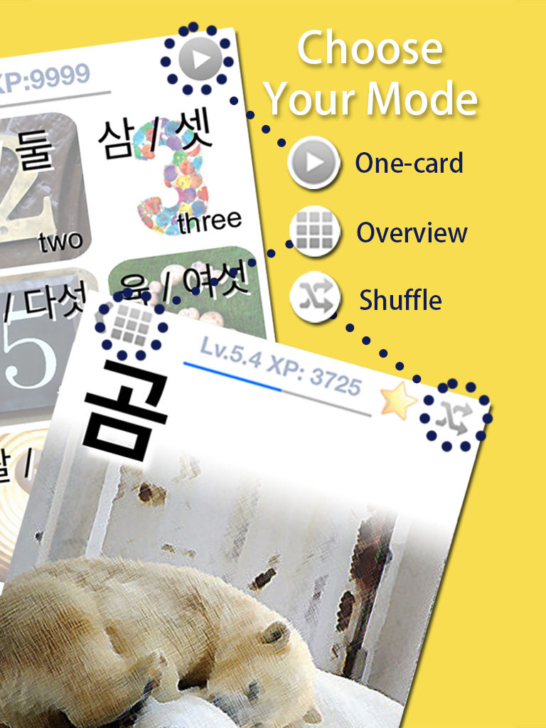 Learn Korean Vocabulary Words & Phrases FlashCards screenshot 9