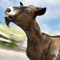 True Goat Skater Simulator 2016 Evolution Game Pro