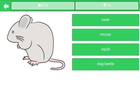 動物クイズ４択 screenshot 4