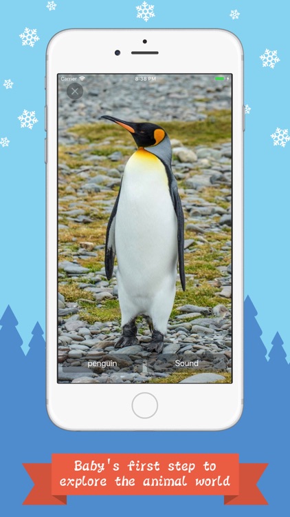 Baby's Animal World screenshot-3