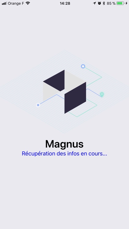 Magnus For Hacking