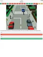 new zealand driving theory test (car) 2016 айпад изображения 3