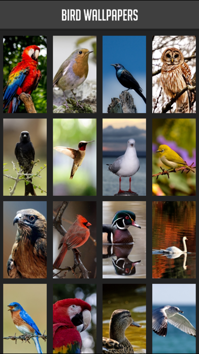 How to cancel & delete Bird Wallpapers from iphone & ipad 1