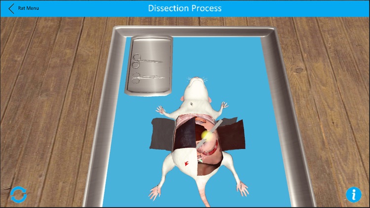 Dissection Lab screenshot-4