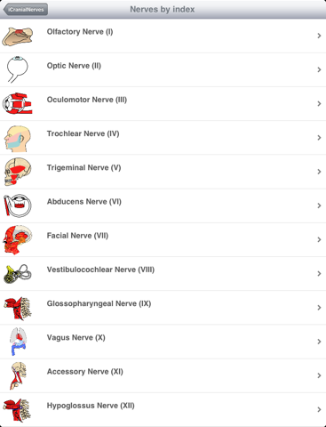 Screenshot #4 pour iCranialNerves