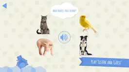 Game screenshot Domi Domi Listen And Guess Lite apk