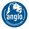 Colégio Anglo Módulo