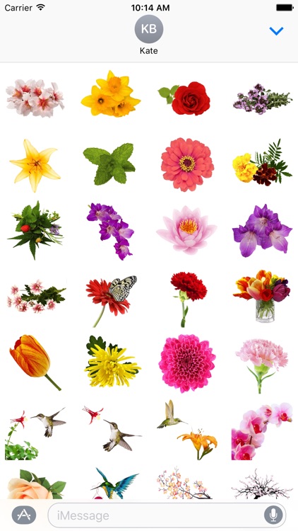 Spring Flowers Stickers for iMessage